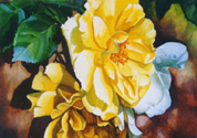 Golden Roses
