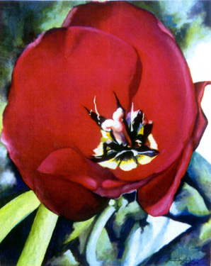 Red Tulip