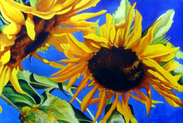 Tournesols